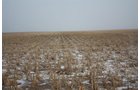 Property photo 6 - Kansas Land Auction - 960 Acres - 7 Farms in 3 Counties